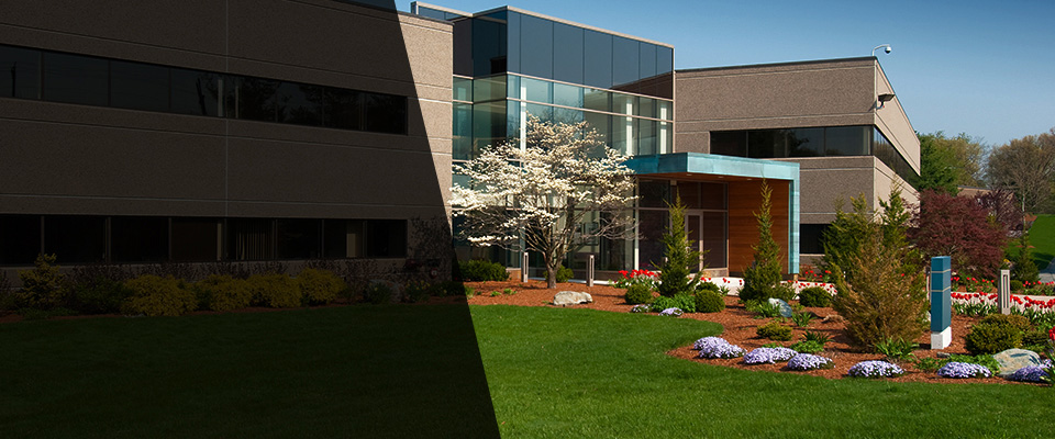 Carol Stream Landscapers
