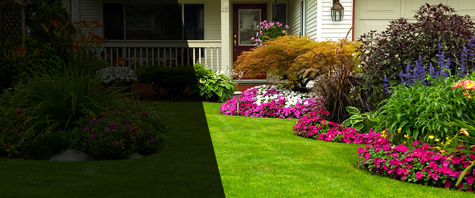 Carol Stream Landscapers
