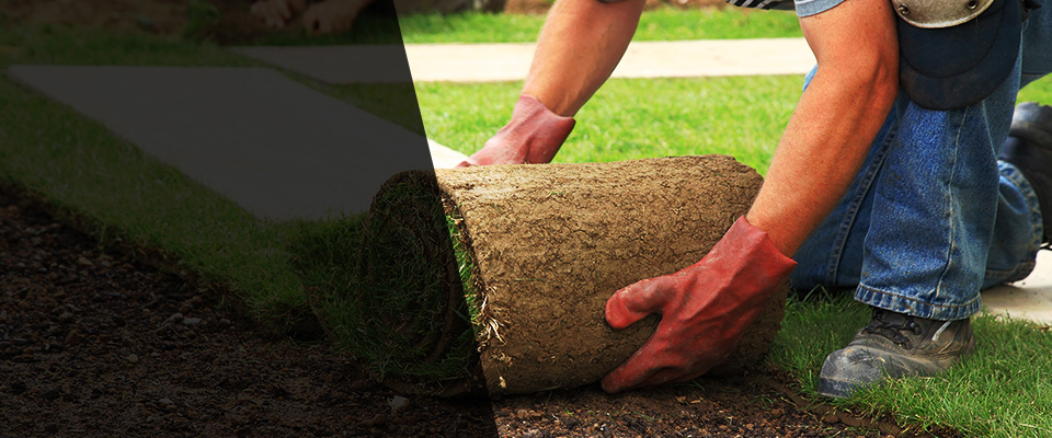 Carol Stream Landscapers